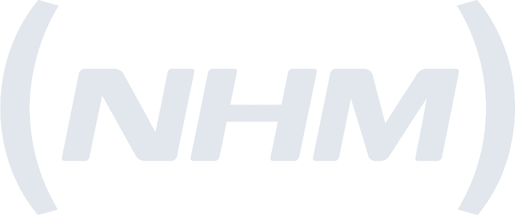 NHM Engenharia